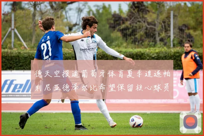 德天空报道葡萄牙体育夏季追逐帕利尼亚德泽尔比希望保留核心球员